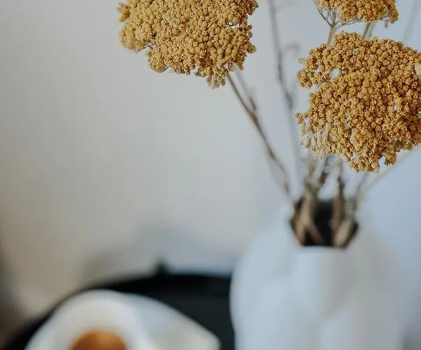 By The River בית הארחה 3*